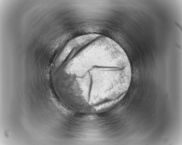 X0000101470402200808041110