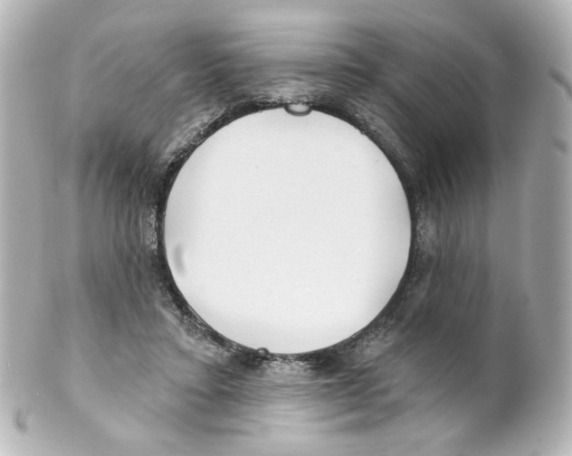 X0000101470403200808041110