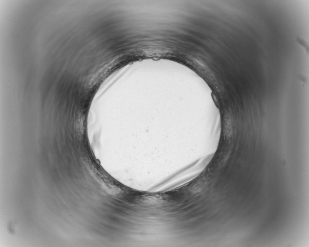 X0000101470405200808041110