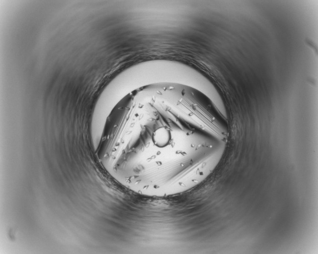 X0000101470409200808041110