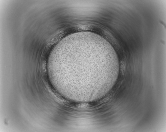 X0000101470410200808041110