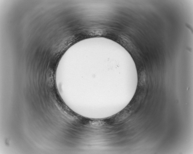 X0000101470414200808041110