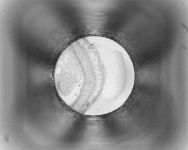 X0000101470415200808041109