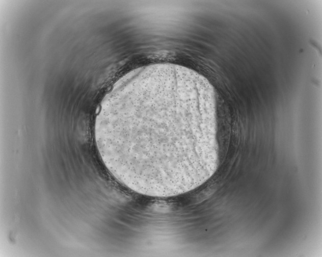 X0000101470416200808041109