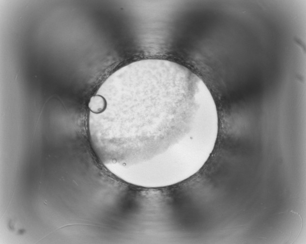 X0000101470419200808041109