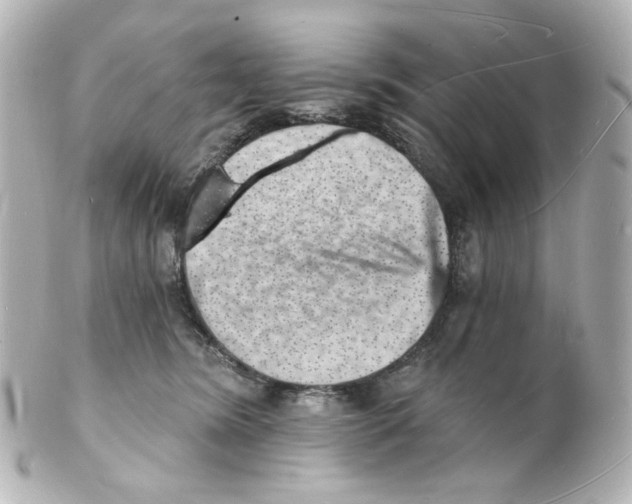 X0000101470420200808041109