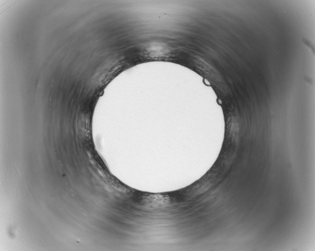 X0000101470421200808041109