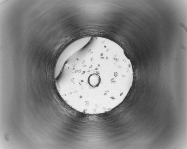 X0000101470423200808041109