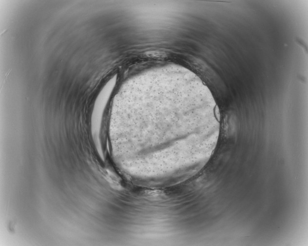 X0000101470424200808041109