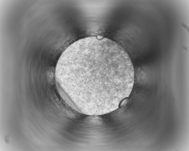 X0000101470427200808041109