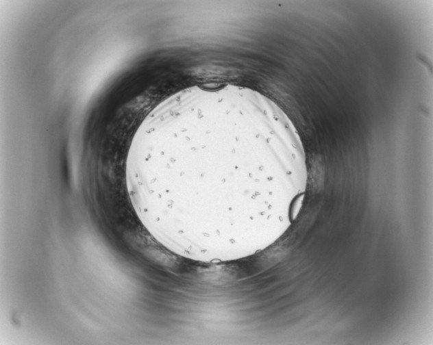 X0000101470430200808041109