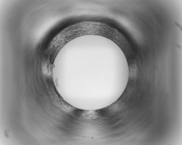 X0000101470431200808041109