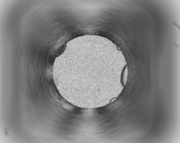 X0000101470432200808041109