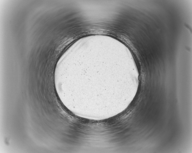 X0000101470433200808041109