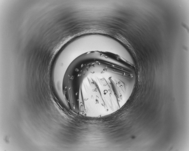 X0000101470436200808041109