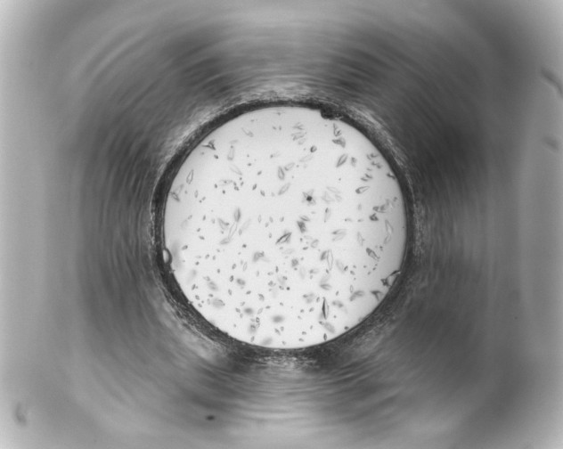 X0000101470439200808041109