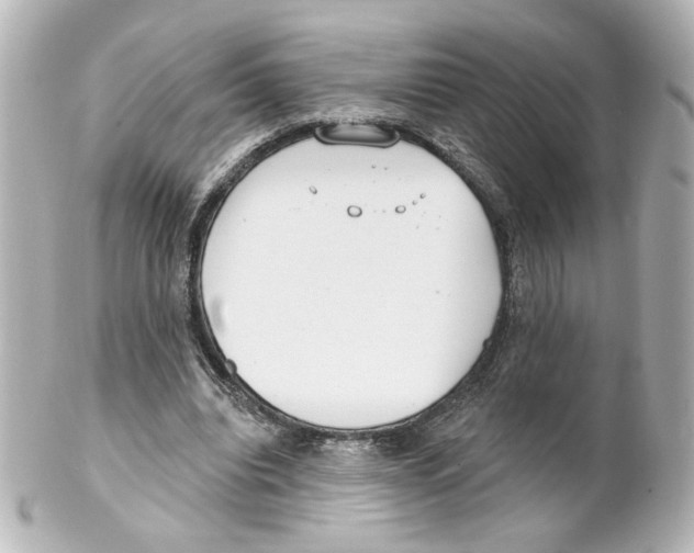 X0000101470440200808041109