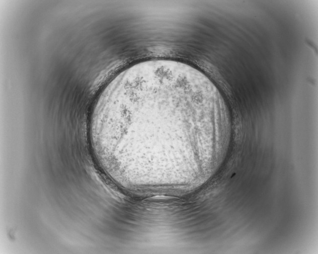 X0000101470442200808041109