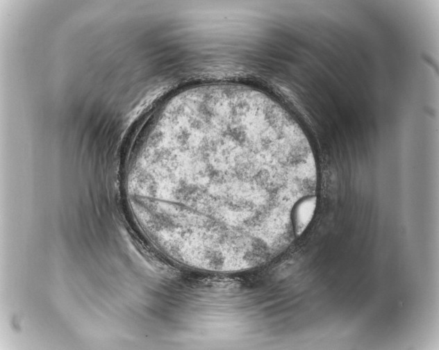 X0000101470443200808041109