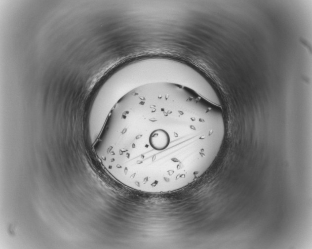 X0000101470444200808041109