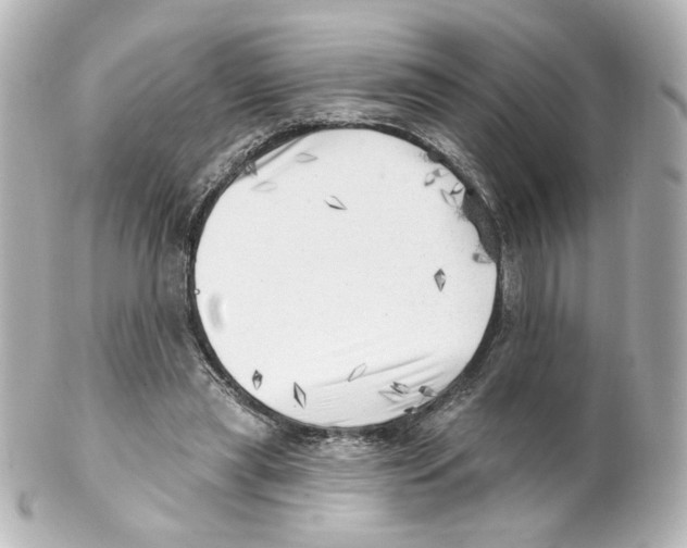 X0000101470445200808041109