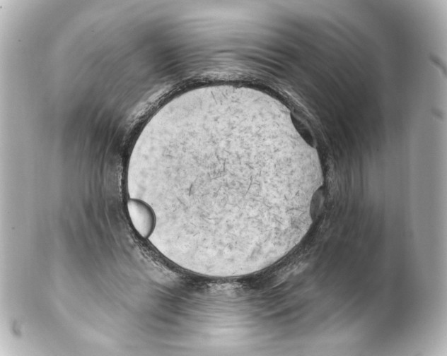 X0000101470446200808041109