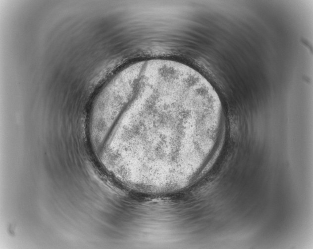 X0000101470447200808041109