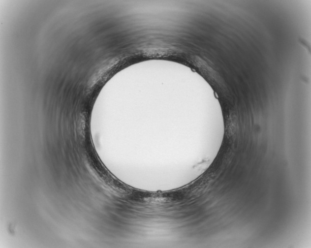 X0000101470448200808041109