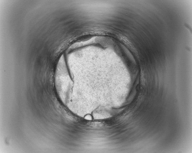 X0000101470449200808041109