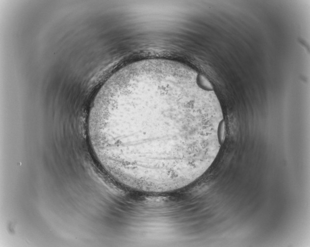 X0000101470450200808041109