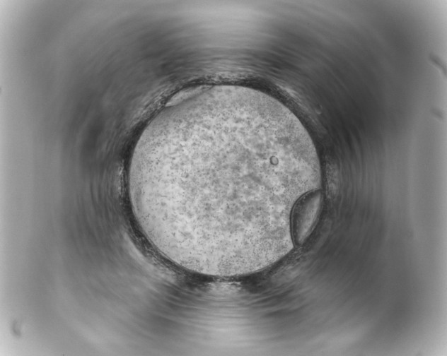 X0000101470451200808041109