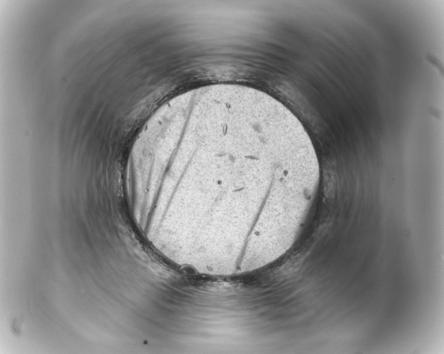 X0000101470453200808041109