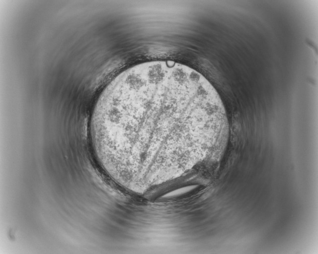 X0000101470454200808041109