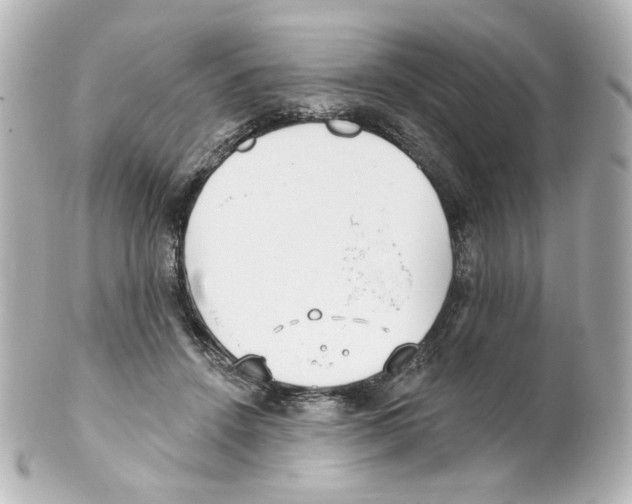 X0000101470456200808041109