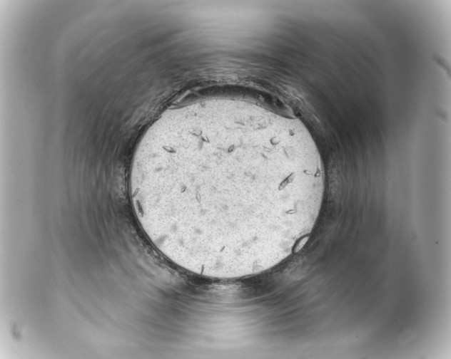 X0000101470457200808041109