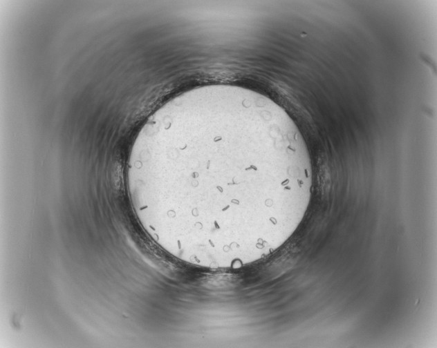 X0000101470459200808041109