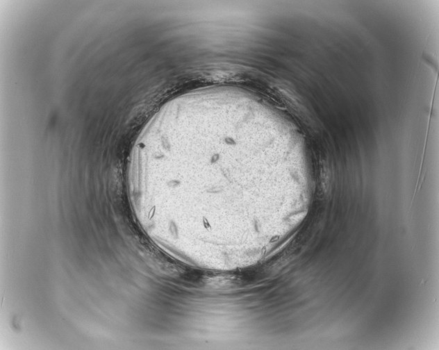 X0000101470461200808041109