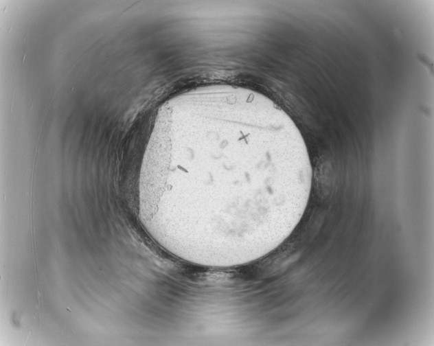 X0000101470462200808041109