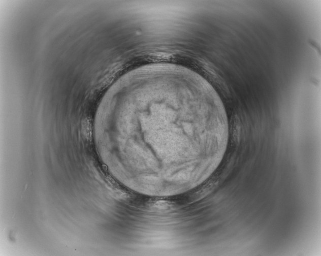 X0000101470467200808041109