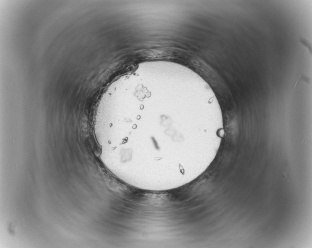 X0000101470469200808041109