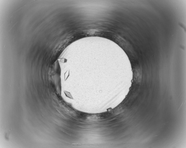 X0000101470470200808041109