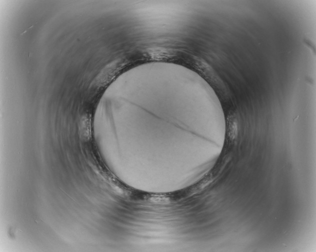 X0000101470471200808041109