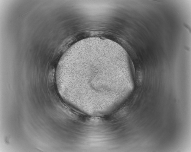 X0000101470475200808041109