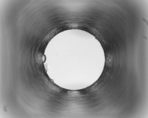 X0000101470476200808041109