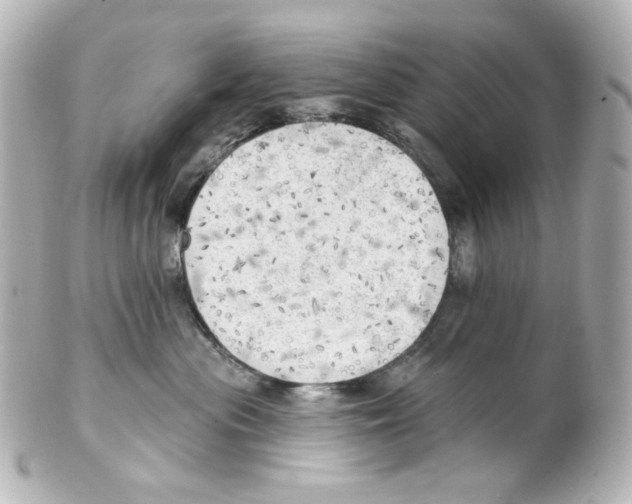 X0000101470477200808041109