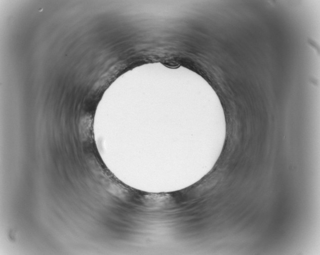 X0000101470480200808041109