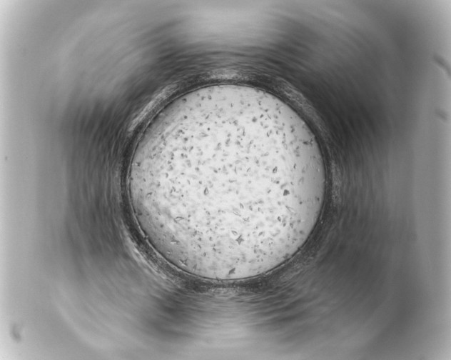 X0000101470482200808041109