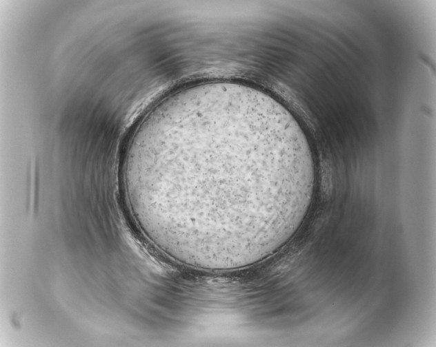 X0000101470486200808041108