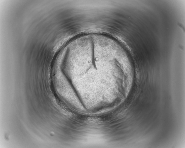 X0000101470487200808041108