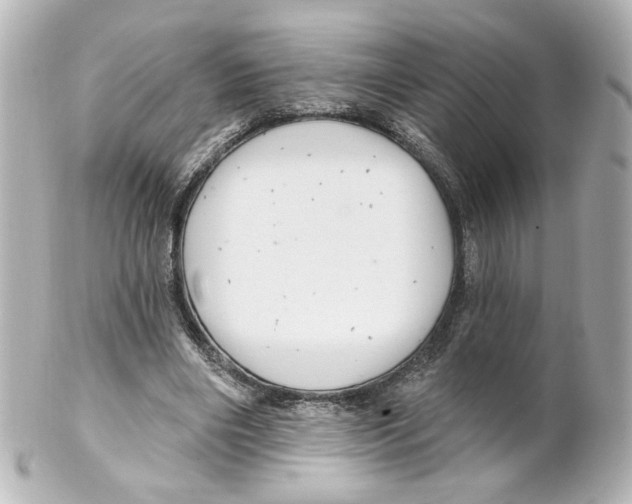 X0000101470490200808041108